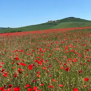 Poggio Tobruk , Pienza Italien